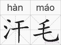汗毛的拼音