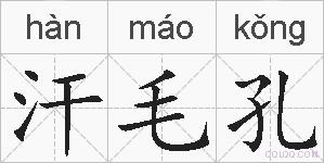 汗毛孔的拼音