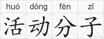 活动分子的拼音