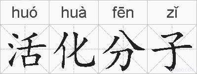 活化分子的拼音
