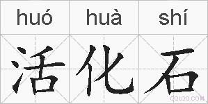 活化石的拼音
