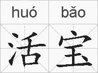 活宝的拼音