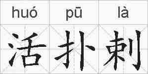 活扑剌的拼音