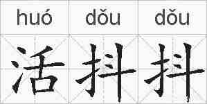 活抖抖的拼音