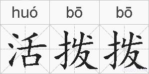 活拨拨的拼音