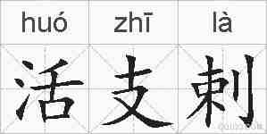 活支剌的拼音