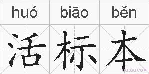 活标本的拼音