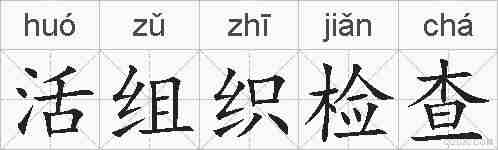 活组织检查的拼音