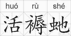 活褥虵的拼音