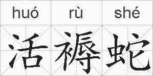 活褥蛇的拼音