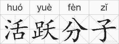 活跃分子的拼音