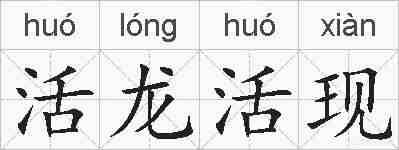 活龙活现的拼音