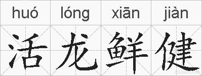 活龙鲜健的拼音