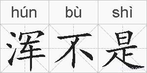 浑不是的拼音
