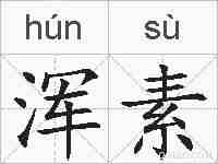 浑素的拼音