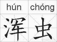 浑虫的拼音