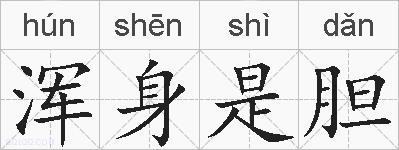 浑身是胆的拼音