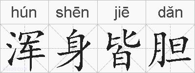 浑身皆胆的拼音