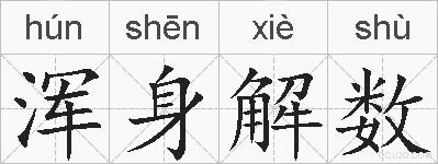 浑身解数的拼音