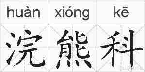 浣熊科的拼音