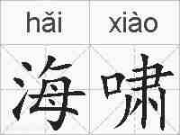 海啸的拼音