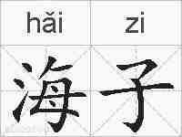 海子的拼音