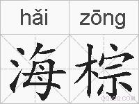 海棕的拼音