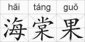 海棠果的拼音