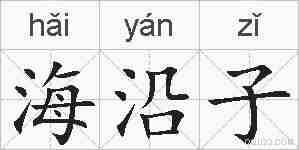 海沿子的拼音