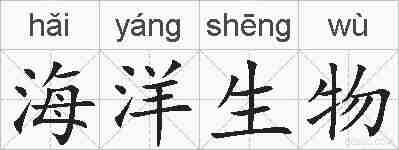 海洋生物的拼音