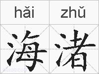 海渚的拼音