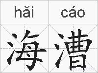 海漕的拼音