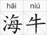 海牛的拼音