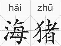海猪的拼音