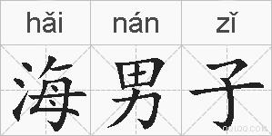 海男子的拼音