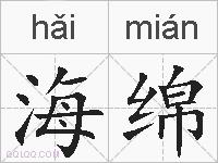 海绵的拼音