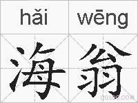 海翁的拼音