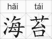 海苔的拼音