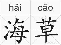 海草的拼音