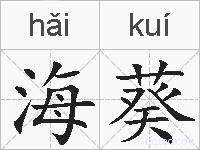 海葵的拼音