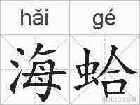 海蛤的拼音