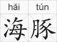 海豚的拼音