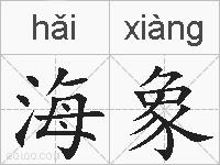 海象的拼音