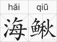 海鳅的拼音