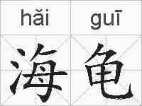 海龟的拼音