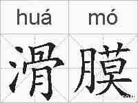 滑膜的拼音