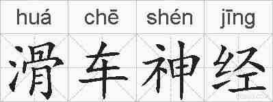 滑车神经的拼音