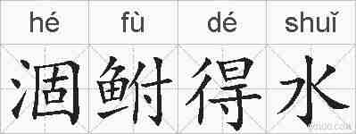涸鲋得水的拼音