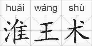淮王术的拼音