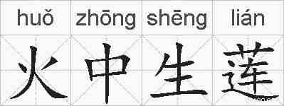 火中生莲的拼音